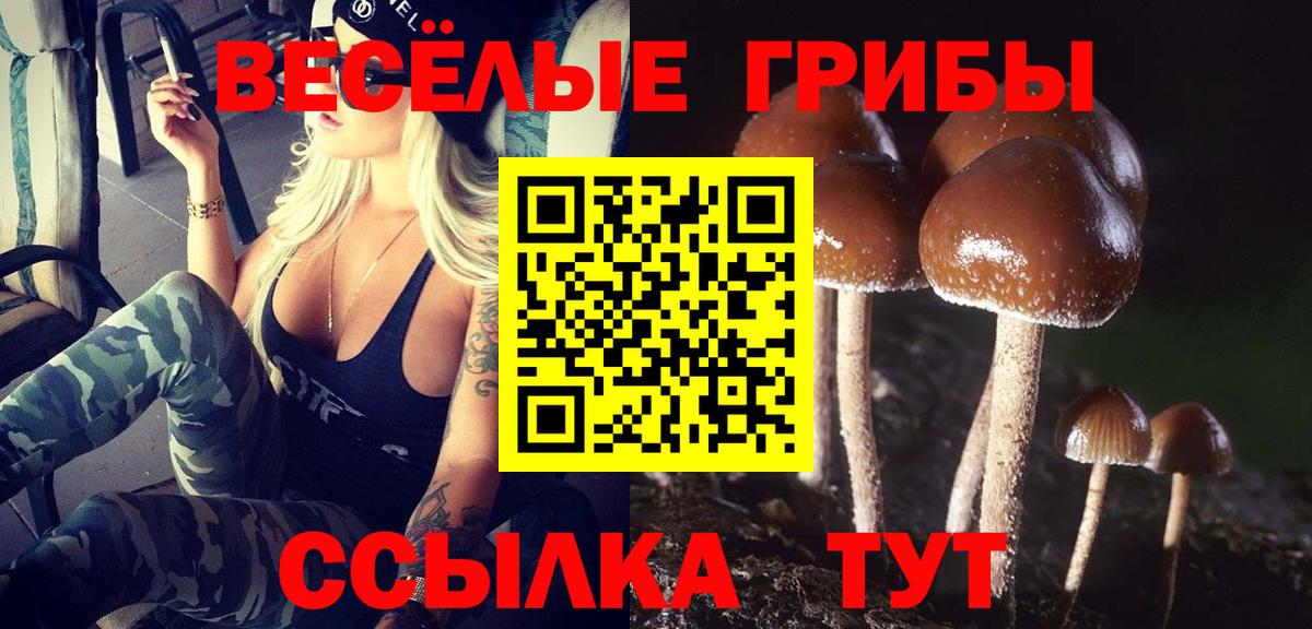Галлюциногенные грибы Psilocybine cubensis Аша