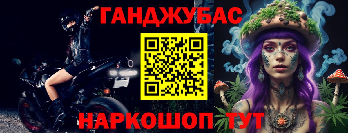 Каннабис планчик Аша